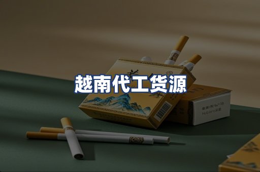 越南代工货源